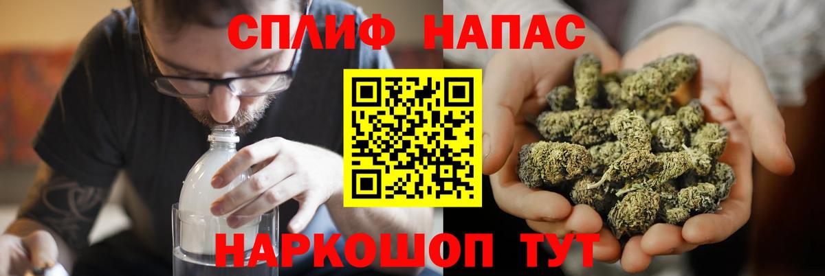 Каннабис сатива Волжск